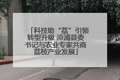 科技助“荔”引领转型升级 漳浦县委书记与农业专家共商荔枝产业发展