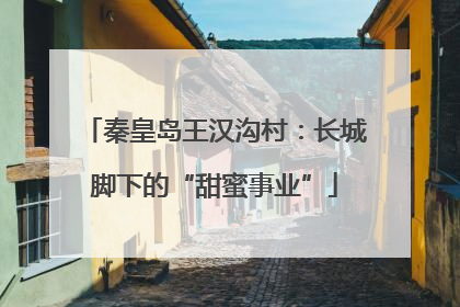 秦皇岛王汉沟村：长城脚下的“甜蜜事业”