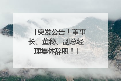 突发公告！董事长、董秘、副总经理集体辞职！