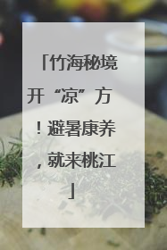 竹海秘境开“凉”方！避暑康养，就来桃江