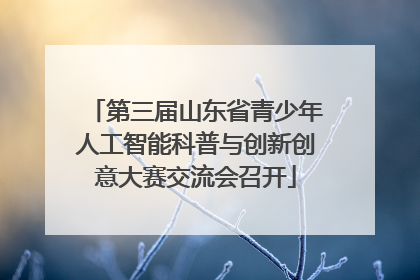 第三届山东省青少年人工智能科普与创新创意大赛交流会召开