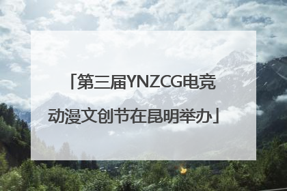 第三届YNZCG电竞动漫文创节在昆明举办
