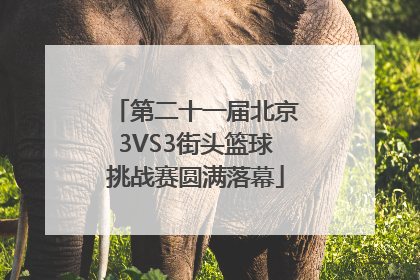 第二十一届北京3VS3街头篮球挑战赛圆满落幕