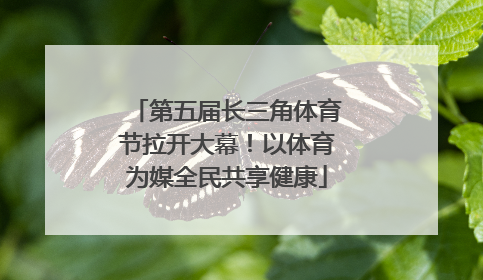 第五届长三角体育节拉开大幕！以体育为媒全民共享健康