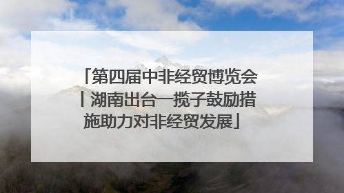 第四届中非经贸博览会丨湖南出台一揽子鼓励措施助力对非经贸发展