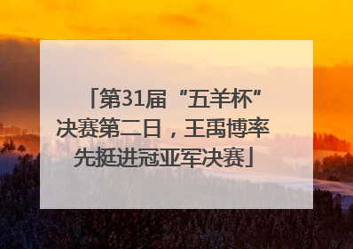 第31届“五羊杯”决赛第二日，王禹博率先挺进冠亚军决赛