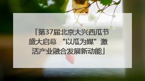 第37届北京大兴西瓜节盛大启幕 “以瓜为媒”激活产业融合发展新动能