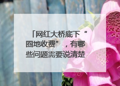 网红大桥底下“圈地收费”，有哪些问题需要说清楚｜新京报快评