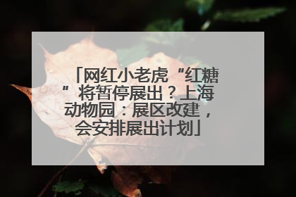 网红小老虎“红糖”将暂停展出？上海动物园：展区改建，会安排展出计划