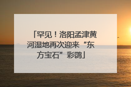 罕见！洛阳孟津黄河湿地再次迎来“东方宝石”彩鹮