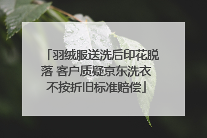 羽绒服送洗后印花脱落 客户质疑京东洗衣不按折旧标准赔偿