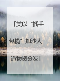 美以“插手包揽”加沙人道物资分发