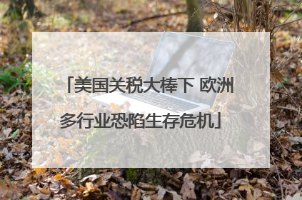 美国关税大棒下 欧洲多行业恐陷生存危机