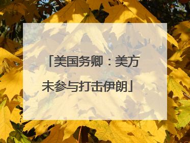 美国务卿：美方未参与打击伊朗
