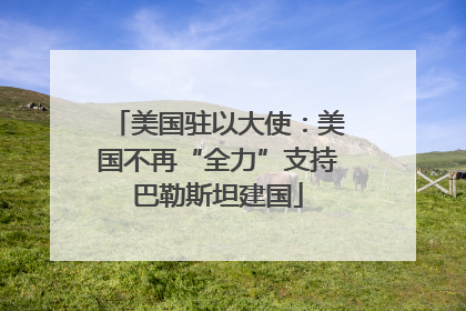 美国驻以大使：美国不再“全力”支持巴勒斯坦建国