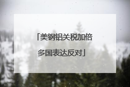 美钢铝关税加倍 多国表达反对