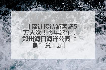 累计接待游客超5万人次！今年端午，郑州海昌海洋公园“新”意十足