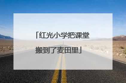 红光小学把课堂搬到了麦田里