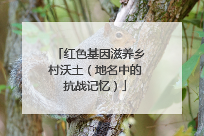 红色基因滋养乡村沃土（地名中的抗战记忆）