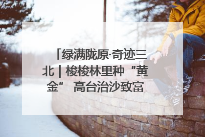 绿满陇原·奇迹三北｜梭梭林里种“黄金” 高台治沙致富很“从容”