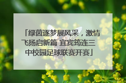 绿茵逐梦展风采，激情飞扬启新篇 宜宾筠连三中校园足球联赛开赛