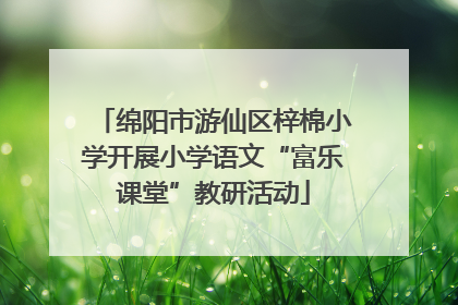 绵阳市游仙区梓棉小学开展小学语文“富乐课堂”教研活动