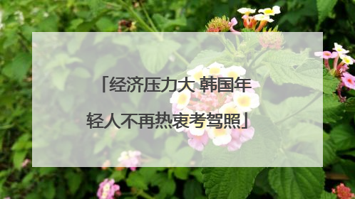 经济压力大 韩国年轻人不再热衷考驾照