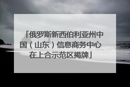 俄罗斯新西伯利亚州中国（山东）信息商务中心在上合示范区揭牌