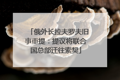 俄外长拉夫罗夫旧事重提：提议将联合国总部迁往索契
