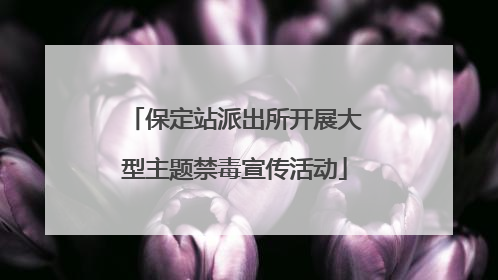 保定站派出所开展大型主题禁毒宣传活动