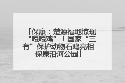 保康：楚源福地惊现“嘎嘎鸡”！国家“三有”保护动物石鸡亮相保康沿河公园