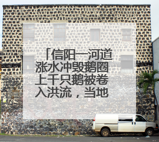 信阳一河道涨水冲毁鹅圈上千只鹅被卷入洪流，当地蓝天救援队一小时赶鹅上岸