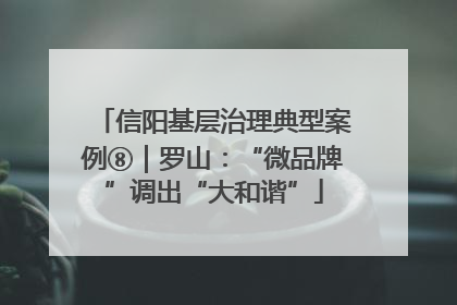 信阳基层治理典型案例⑧｜罗山：“微品牌”调出“大和谐”