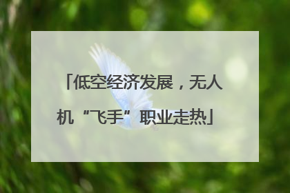 低空经济发展，无人机“飞手”职业走热