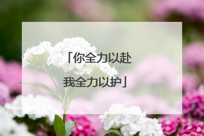 你全力以赴 我全力以护