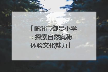 临汾市御景小学：探索自然奥秘 体验文化魅力