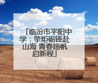 临汾市平阳中学：擎炬砺锋赴山海 青春扬帆启新程