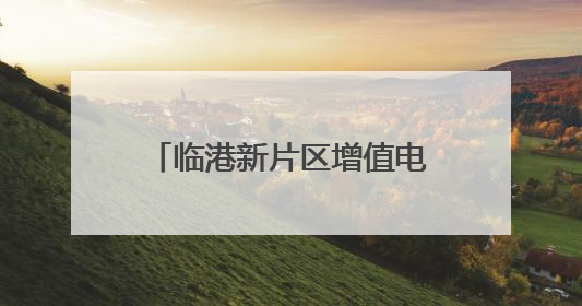 临港新片区增值电信开放第二批试点企业授牌：新增高济健康、科戈波特两家