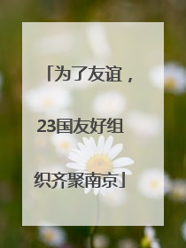 为了友谊，23国友好组织齐聚南京