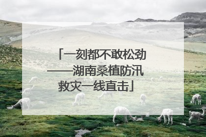 一刻都不敢松劲——湖南桑植防汛救灾一线直击