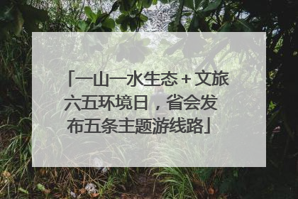 一山一水生态＋文旅 六五环境日，省会发布五条主题游线路