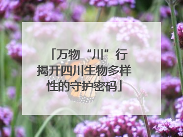 万物“川”行 揭开四川生物多样性的守护密码