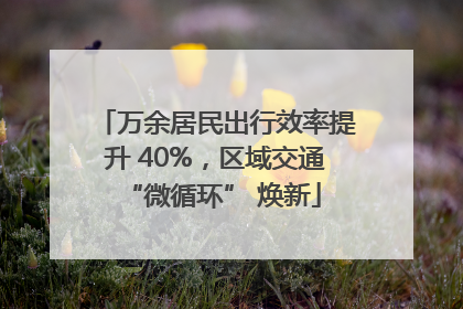 万余居民出行效率提升 40%，区域交通 “微循环” 焕新