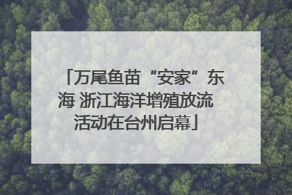 万尾鱼苗“安家”东海 浙江海洋增殖放流活动在台州启幕