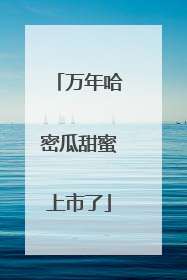 万年哈密瓜甜蜜上市了