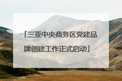 三亚中央商务区党建品牌创建工作正式启动