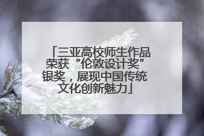 三亚高校师生作品荣获“伦敦设计奖”银奖，展现中国传统文化创新魅力