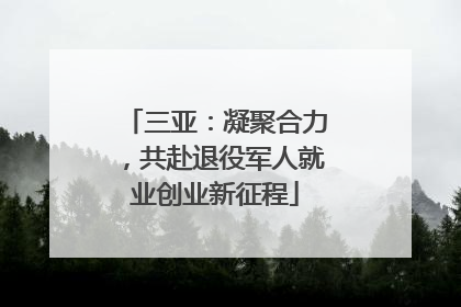 三亚：凝聚合力，共赴退役军人就业创业新征程