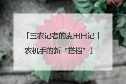 三农记者的麦田日记丨农机手的新“搭档”