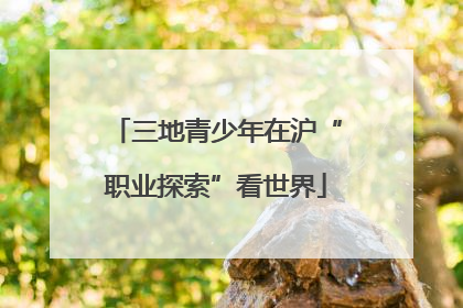 三地青少年在沪“职业探索”看世界